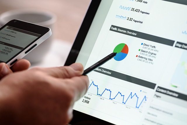 Business Analyst